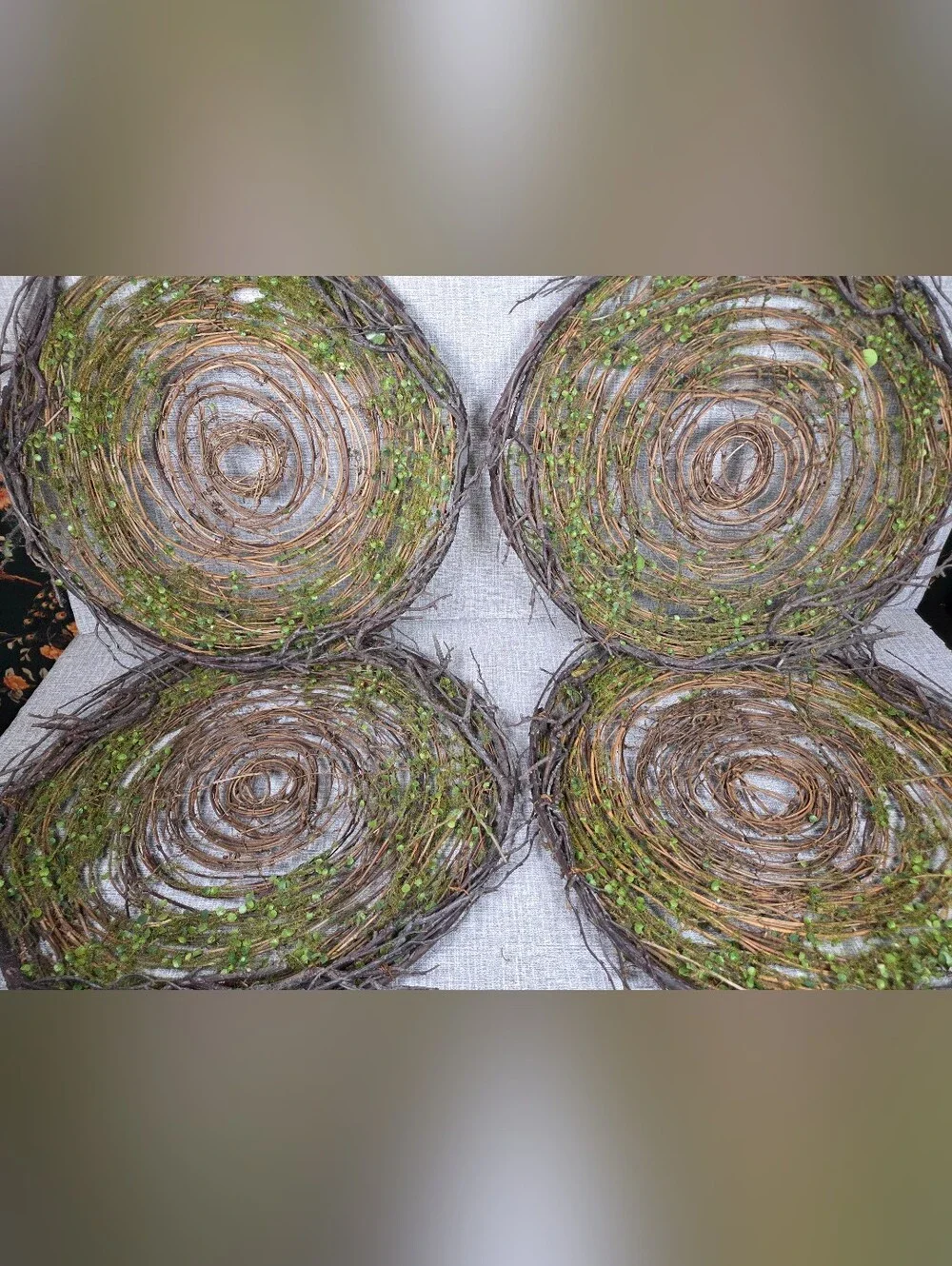 Pier 1 Rustic Twig Moss Round Placemats Wall Decor Charger Plates SET of 4